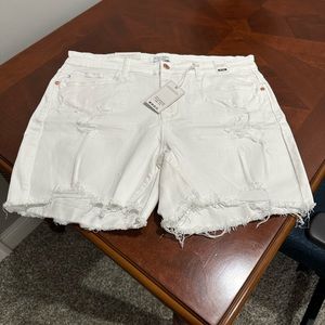 Judy Blue white distressed shorts 1XL
